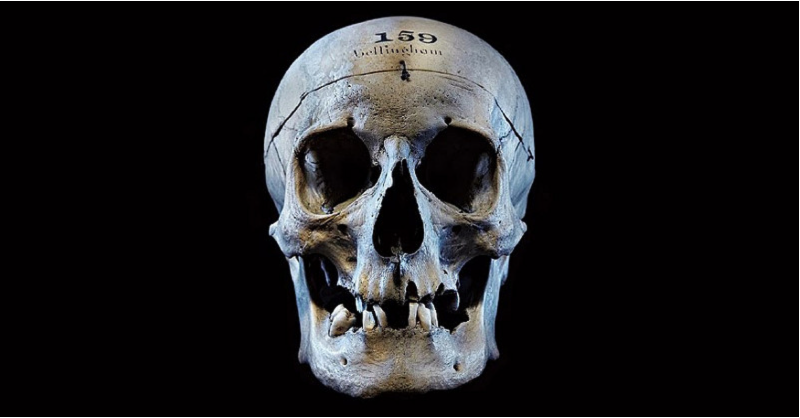 Illustration for article titled Reconstruyen el verdadero rostro de uno de los asesinos más infames de la Inglaterra del siglo XIX